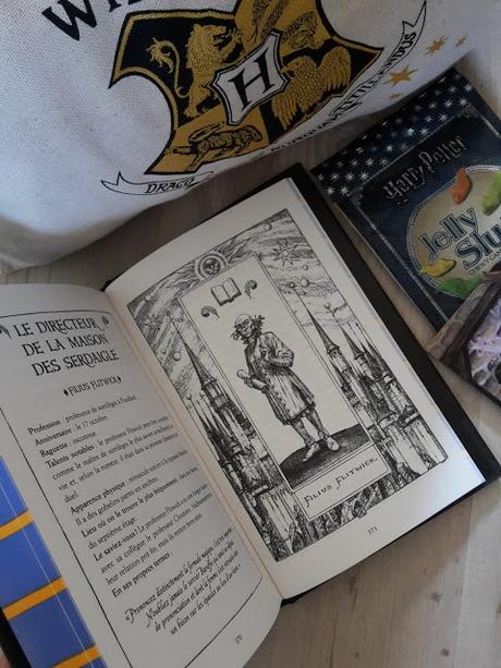 Harry Potter, vingt ans de magie : Edition collector Serdaigle : Harry Potter à l'école des sorciers