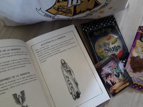 Harry Potter, vingt ans de magie : Edition collector Serdaigle : Harry Potter à l'école des sorciers