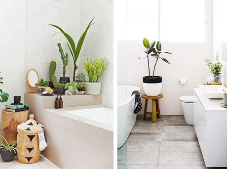 salle de bain plantes