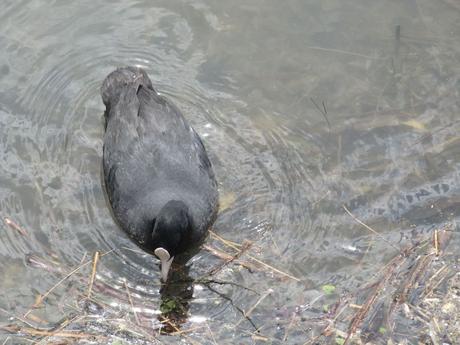 La France - Sur la D 1508 - suite