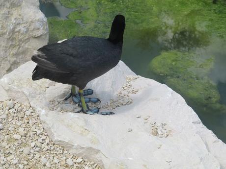 La France - Sur la D 1508 - suite