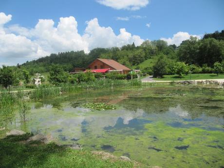 La France - Sur la D 1508 - suite