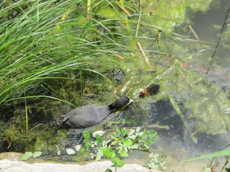 La France - Sur la D 1508 - suite