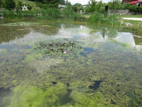 La France - Sur la D 1508 - suite