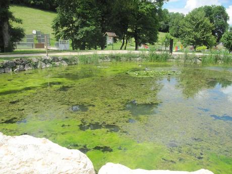 La France - Sur la D 1508 - suite