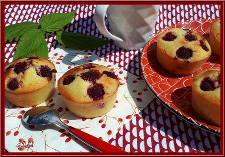 Petits moelleux aux framboises