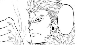 Un mangaka pour la suite de Fairy Tail