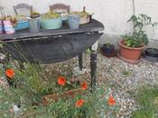 Calendrier lunaire Juillet Aout 2018