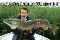Macron : des réformes à pas de fourmis et des économies inexistantes Macron : des réformes à pas de fourmis et des économies inexistantes