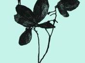 Nana Adjoa Down Root (Pt.2)