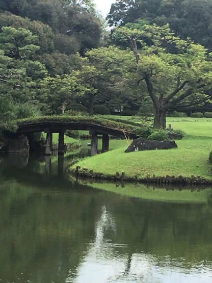 La photographie du jour