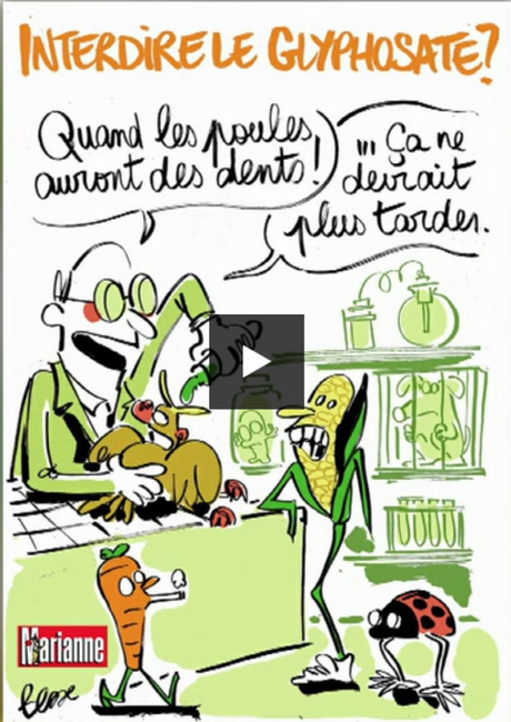 Les dessins de la semaine