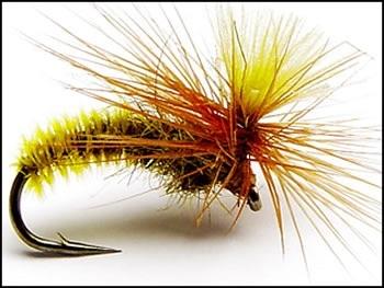 Meurtre sur la Madison