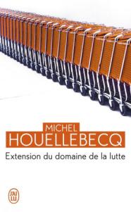 Extension du domaine de la lutte de Michel Houellebecq