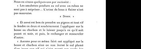 Les remèdes contre la peste les plus inefficaces de l’histoire pigeon et coq au cul plumé