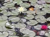 C’était juin @Instagram