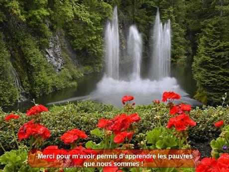 Divers - Magnifique si c'est vraie