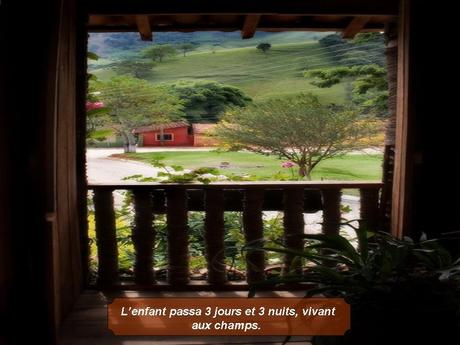 Divers - Magnifique si c'est vraie