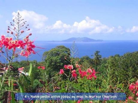 Divers - Magnifique si c'est vraie