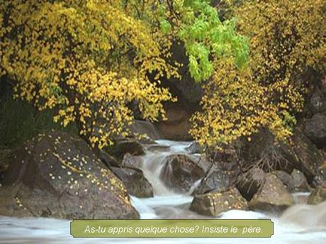 Divers - Magnifique si c'est vraie