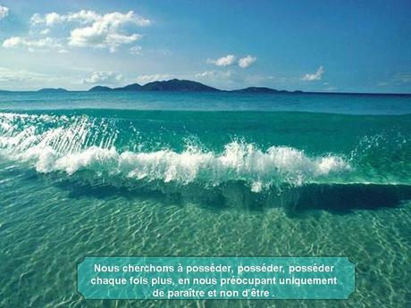 Divers - Magnifique si c'est vraie