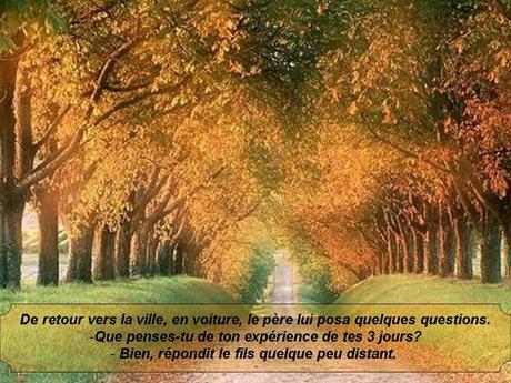 Divers - Magnifique si c'est vraie