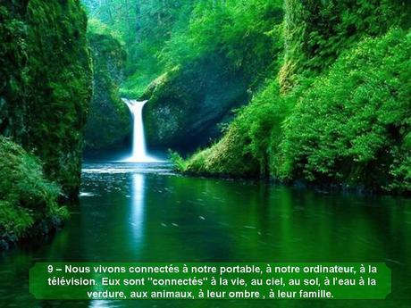 Divers - Magnifique si c'est vraie