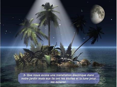 Divers - Magnifique si c'est vraie