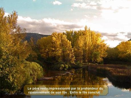 Divers - Magnifique si c'est vraie