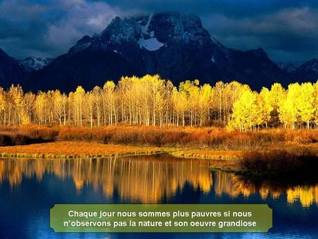 Divers - Magnifique si c'est vraie