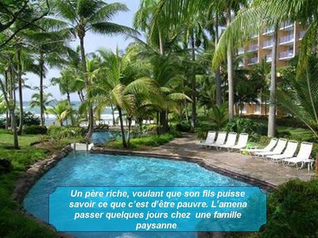 Divers - Magnifique si c'est vraie