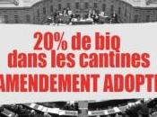 Quand mobilisation citoyenne paye revient dans cantines