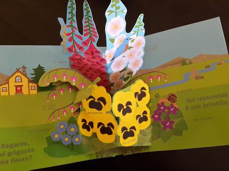 ETE - Un pop-up ensoleillé par David A.Carter