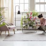 Pentagon Design présente une série versatile de mobilier dédié aux plantes pour Kekkilä Pentagon Design présente une série versatile de mobilier dédié aux plantes pour Kekkilä