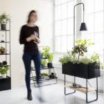 Pentagon Design présente une série versatile de mobilier dédié aux plantes pour Kekkilä Pentagon Design présente une série versatile de mobilier dédié aux plantes pour Kekkilä