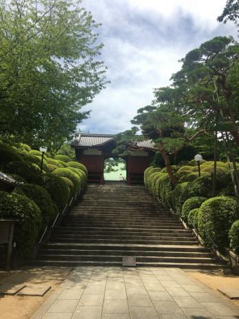 En promenade : Le temple Gokoku-ji à Tokyo