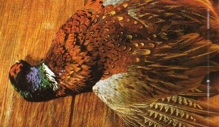 Poules faisanes en salmis au foie gras Poules faisanes en salmis au foie gras