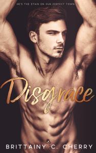 Blog Tour ~ Disgrace ~ Brittainy C. Cherry