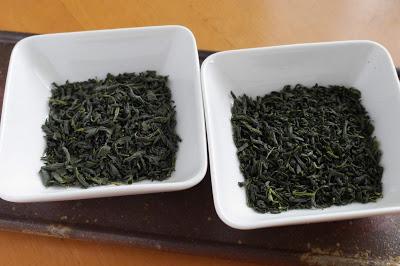 Tamaryokucha de Ureshino, cultivars Sayama-midori et Yabukita