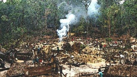 Surtaxer l’huile de palme en France ?