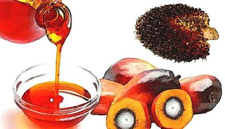 Surtaxer l’huile de palme en France ?