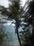 Guadeloupe… Les incontournables de Basse Terre