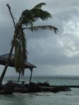 Guadeloupe… Les incontournables de Basse Terre