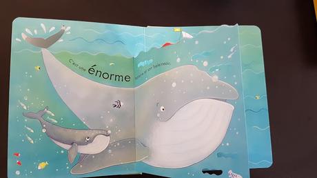 Coucou ! La mer de Simona Dimitri - Editions Usborne Coucou ! La mer de Simona Dimitri