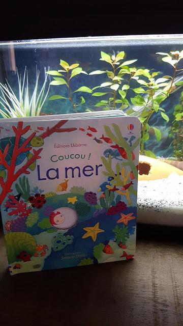 Coucou ! La mer de Simona Dimitri - Editions Usborne Coucou ! La mer de Simona Dimitri