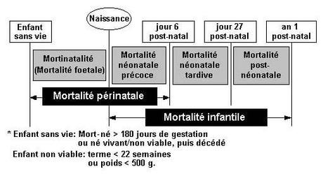 Éléments de statistiques épidémiologiques Éléments de statistiques épidémiologiques