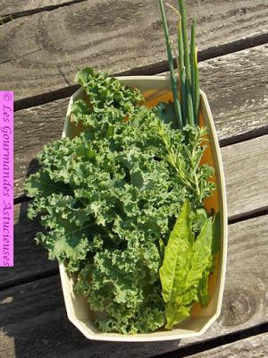 Salade de haricots blancs au Kale (Vegan)