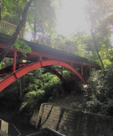 En promenade : La Vallée Todoroki à Tokyo