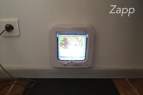 La meilleure chatière à puce électronique pour chat La meilleure chatière à puce électronique pour chat