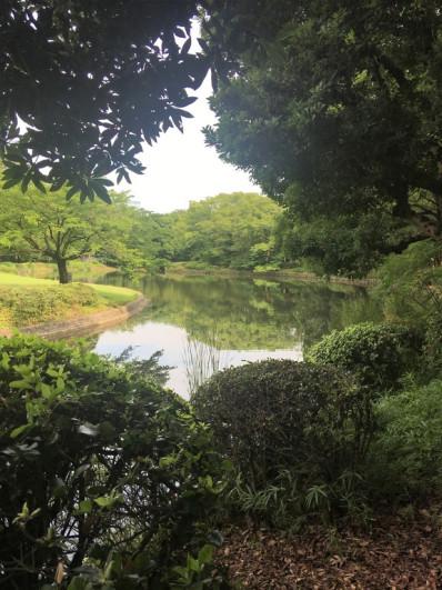 En promenade : Kitanomaru Garden à Tokyo